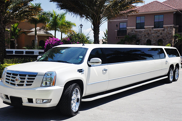 Gilbert 20 Passenger Limo